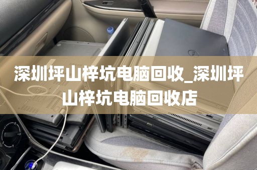 深圳坪山梓坑電腦回收_深圳坪山梓坑電腦回收店